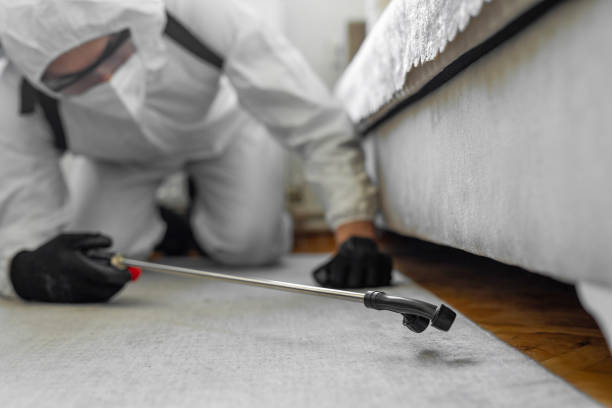Professional Bed Bug Control technician working in Deschutes River Woods, OR