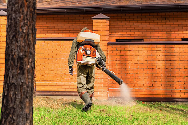 Trusted Emergency Pest Control service in Deschutes River Woods, OR - Nex Pest Control